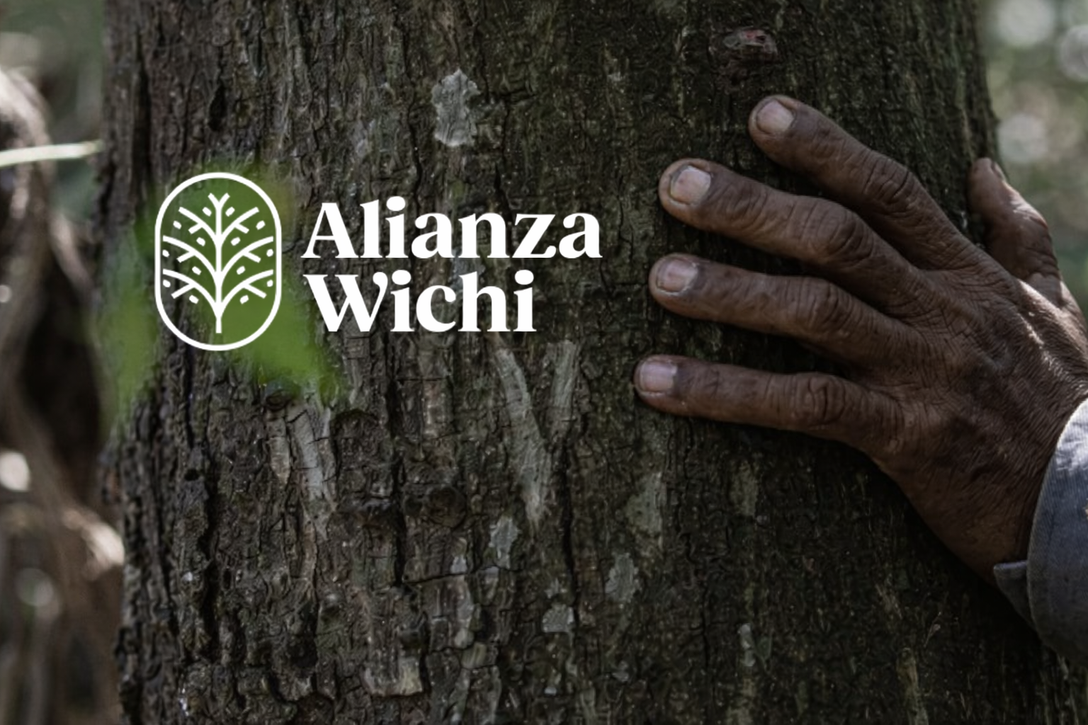 ProNorte impulsa una alianza estratégica con Alianza Wichí para fortalecer el trabajo territorial y la proyección internacional