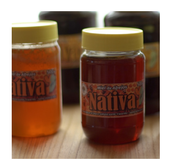 Agregado de valor apícola: del producto primario a propuestas con mayor alcance