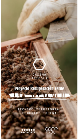 Apicultura: calidad de miel y mejoras en procesos de extracción