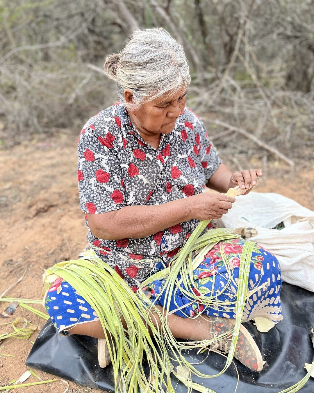 Chaguar: sostenibilidad de la materia prima y continuidad del oficio