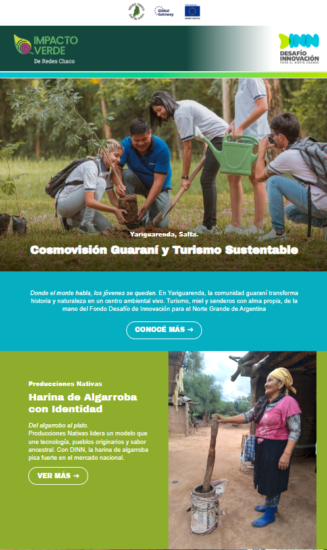 Lanzamiento del newsletter institucional de Impacto Verde