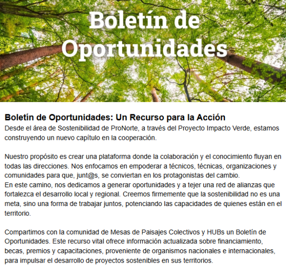 Lanzamiento del Newsletter de Sostenibilidad de Redes Chaco