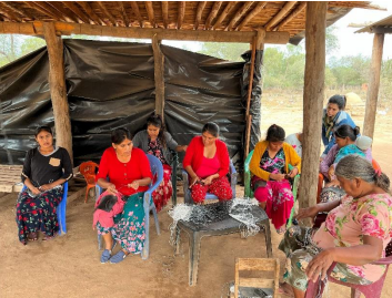 Gobernanza y participación: comités y mesas como soporte del proceso