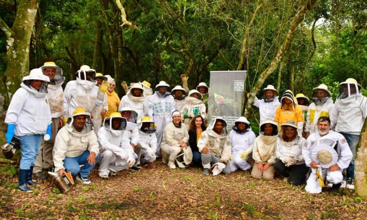 El Hub Apícola impulsó un taller técnico sobre selección de material vivo en Formosa