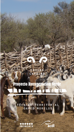 Cadena caprina: mejoras en condiciones sanitarias y de faena