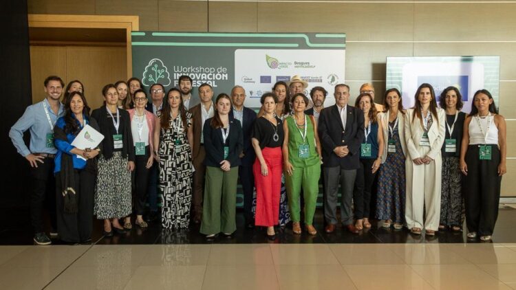 Workshop de Innovación Forestal: visibilidad, incidencia y alianzas para el futuro forestal del Norte Grande