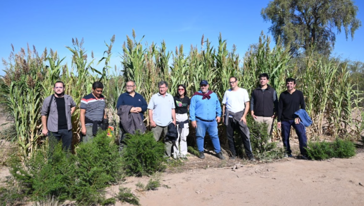 Misión institucional a Tucumán y La Rioja – Articulación política y técnica para ampliar el alcance territorial