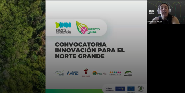 Lanzamiento del Fondo DINN – Webinar