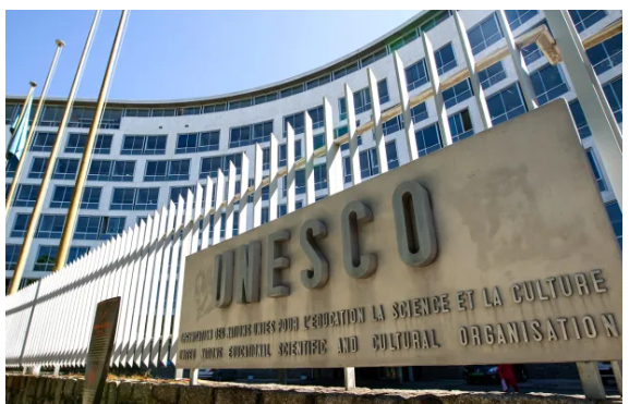 ProNorte presentó el trabajo de Impacto Verde ante la Embajada Argentina ante la UNESCO